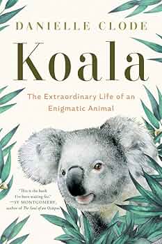 Koala: The Extraordinary Life of an Enigmatic Animal: Clode